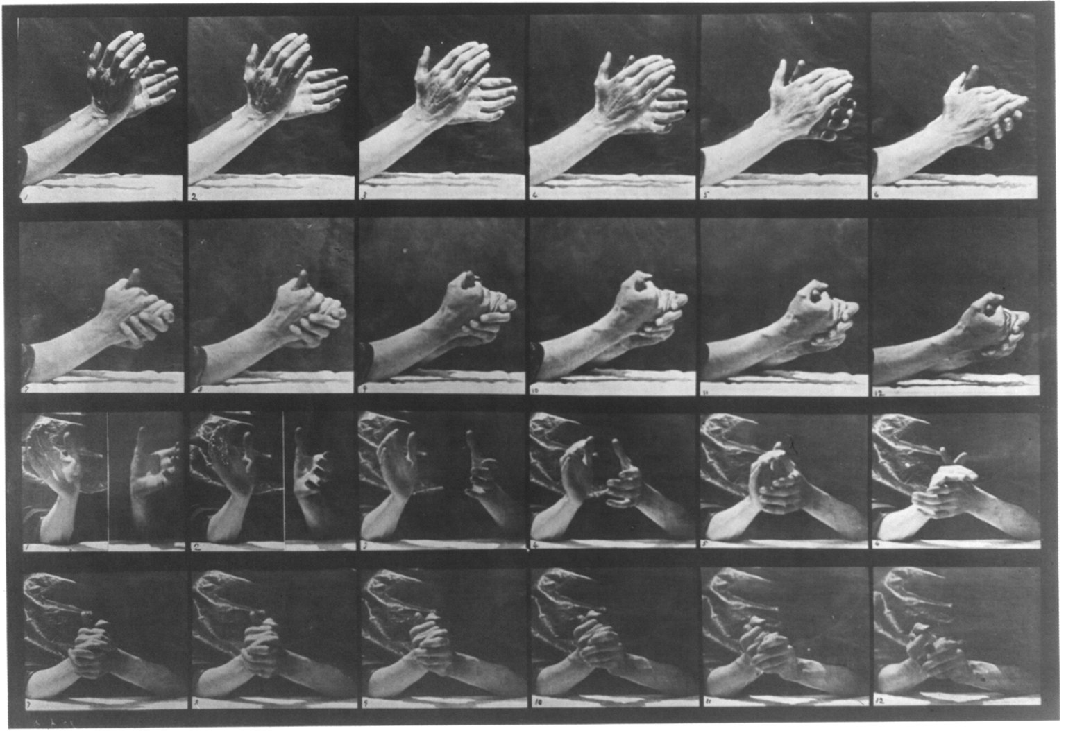 24 frames of hands clasping , plate 533 from Animal Locomotion by Eadweard Muybridge, 1887. Public domain.